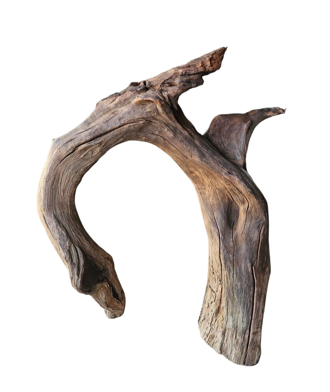 Driftwood / Flusswurzel   Nr. 476