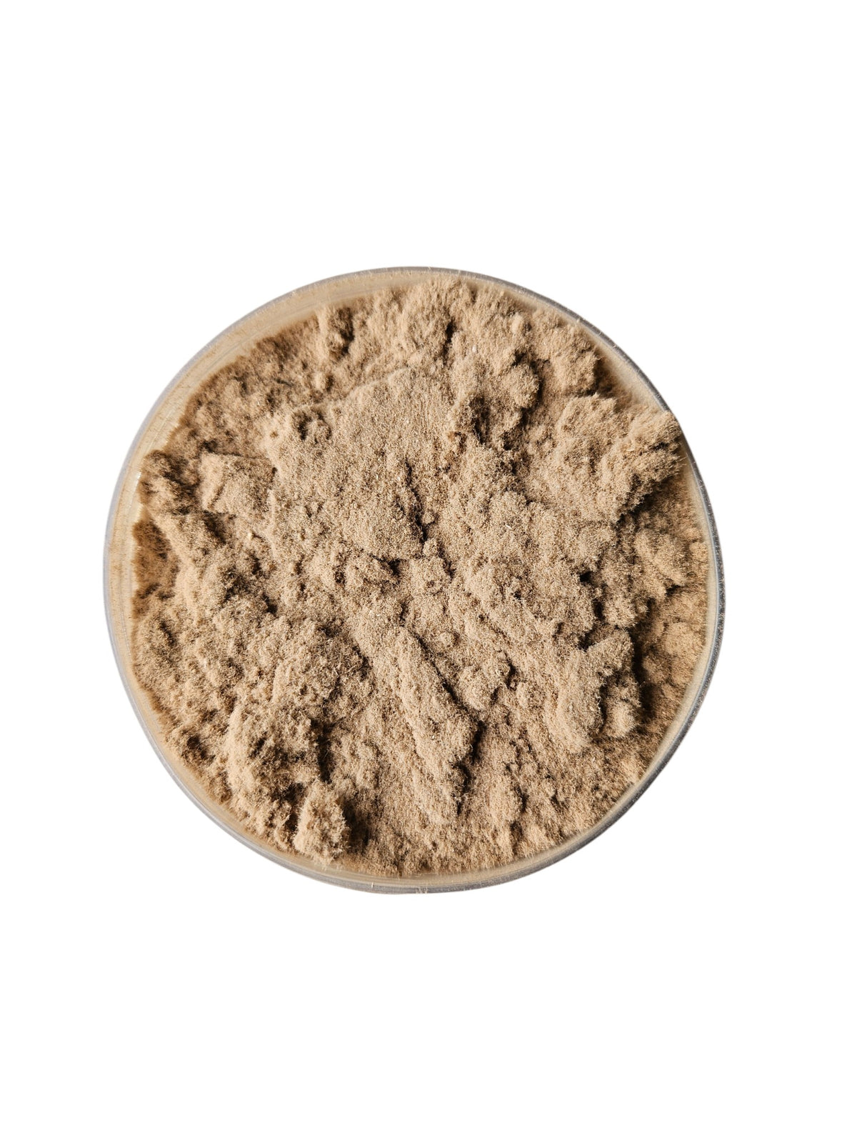 Me Scapix Hardscape Fiber /Scaping Watte 350ml ( verschiedene Farben )