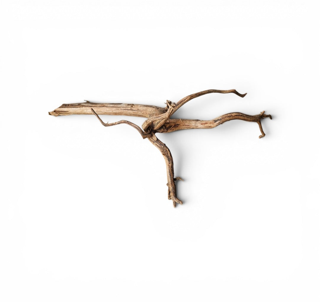 Dark Snake Wood   Nr.453