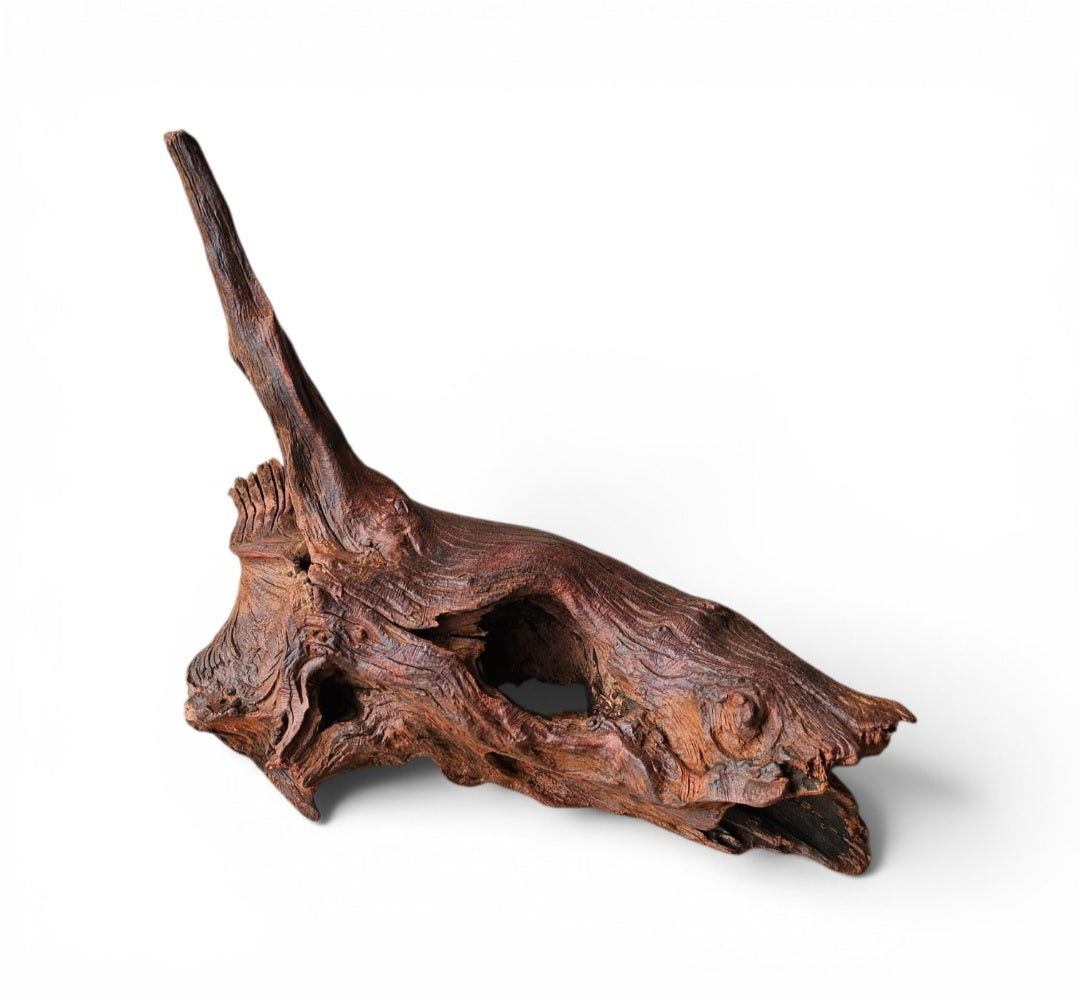 Driftwood / Flusswurzel   Nr.11