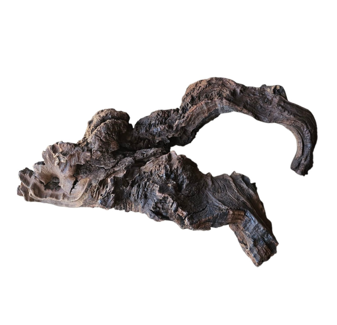 Driftwood / Flusswurzel   Nr. 488