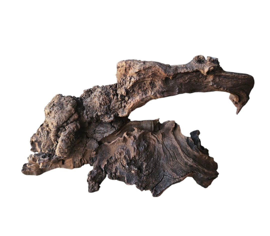 Driftwood / Flusswurzel   Nr. 488