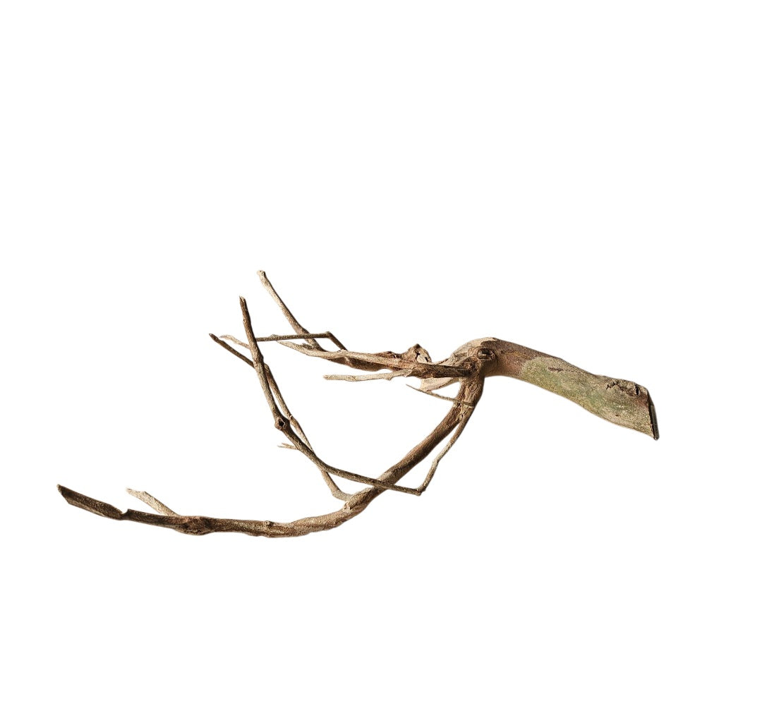 Talawa Holz/Wood 30-45cm   Nr. 231