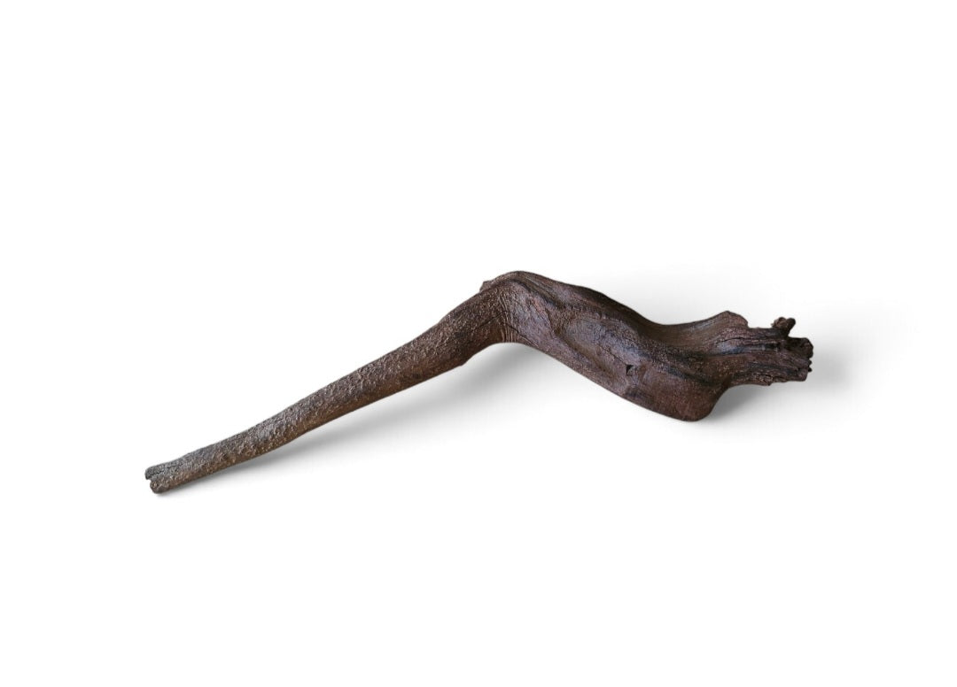 Driftwood / Flusswurzel   Nr.217