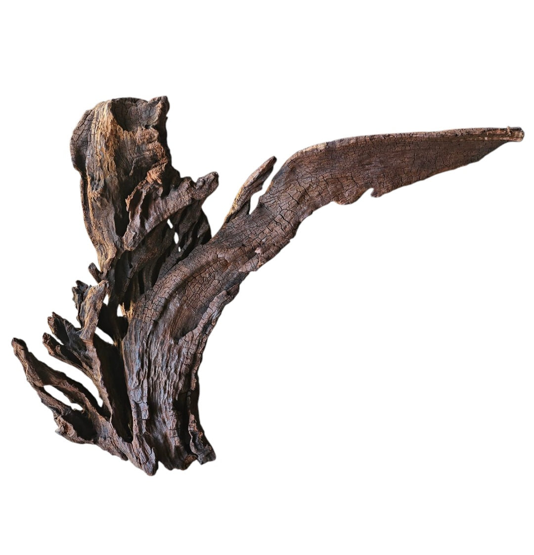 Driftwood / Flusswurzel   Nr. 479