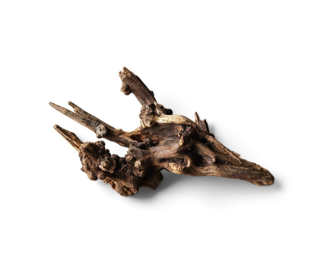 Coral Sinker Wood   Nr. 136