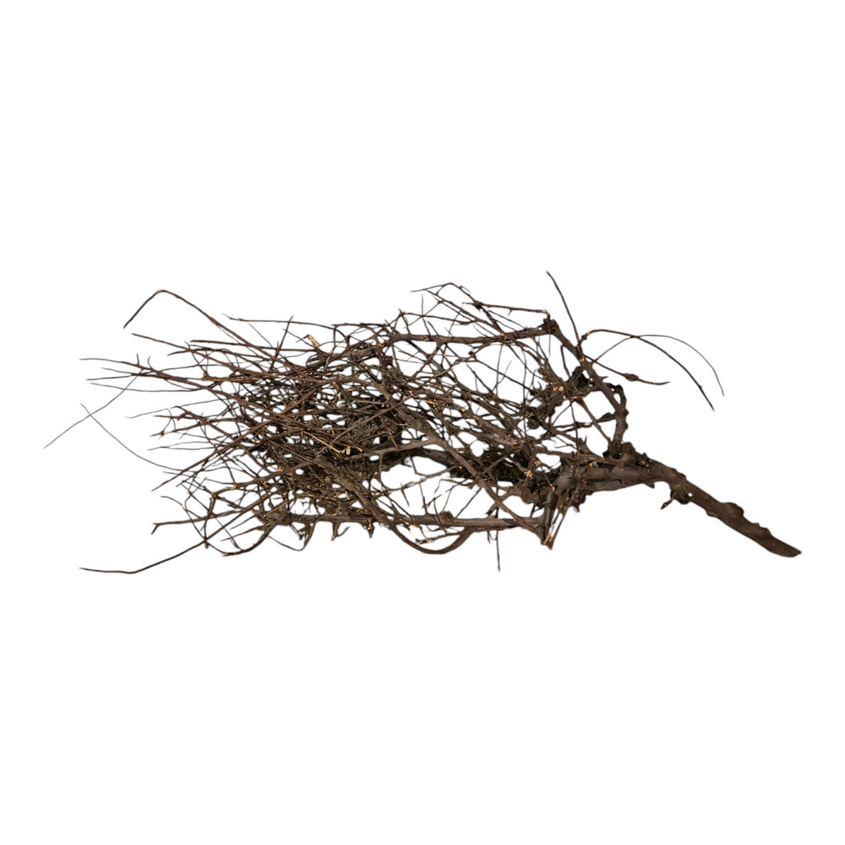 Small tree branches  Nr.85