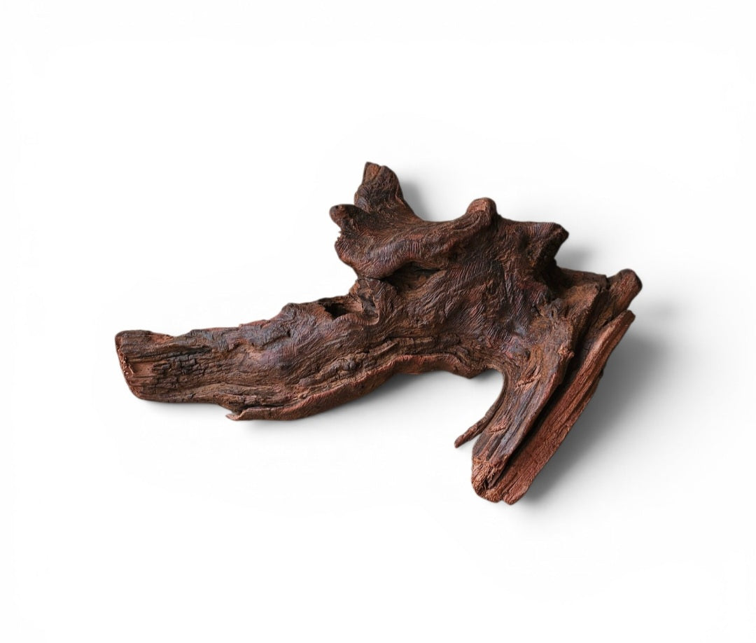 Driftwood / Flusswurzel   Nr. 484