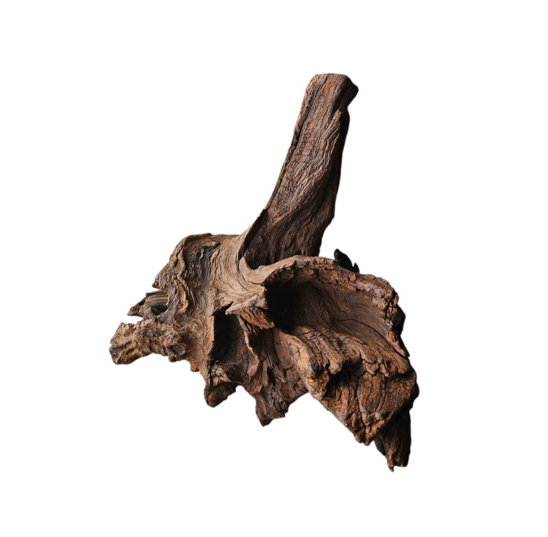 Driftwood / Flusswurzel   Nr.213
