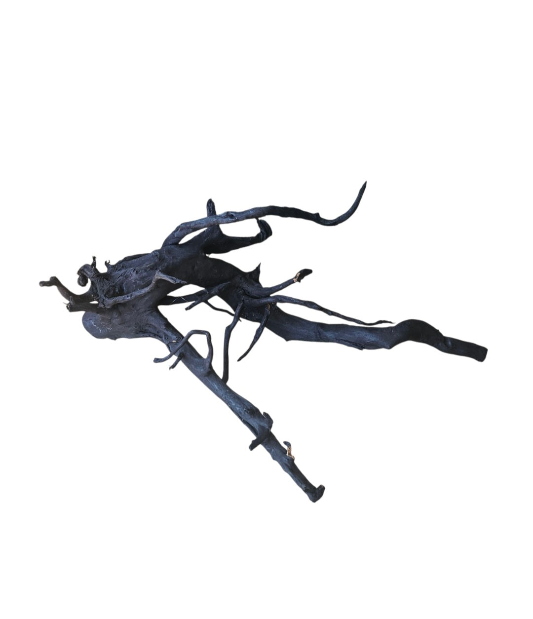 Schwarze Moorwurzel L (40-45 cm)   Nr.934