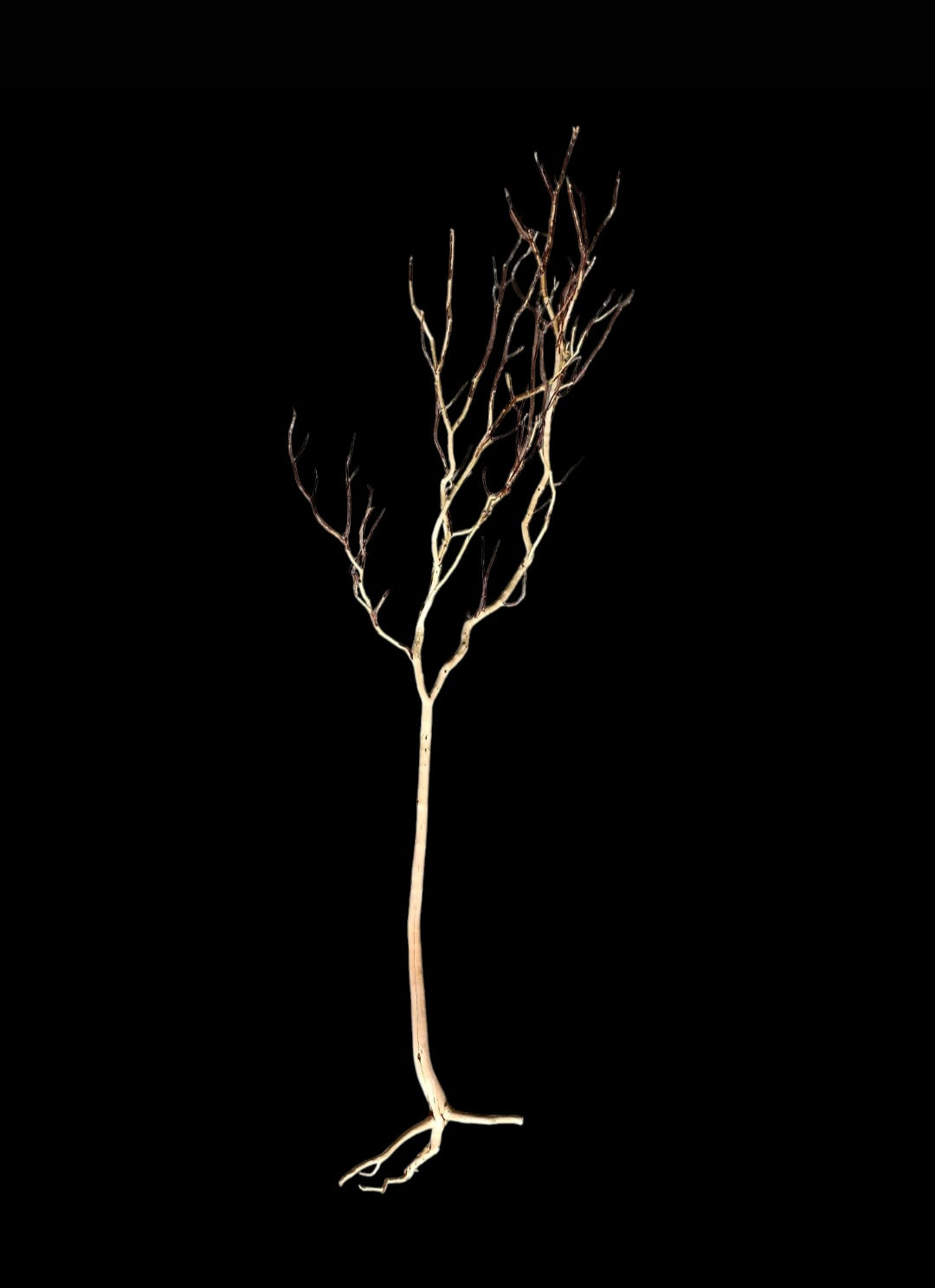 Ghost Wood  XL  Nr.854