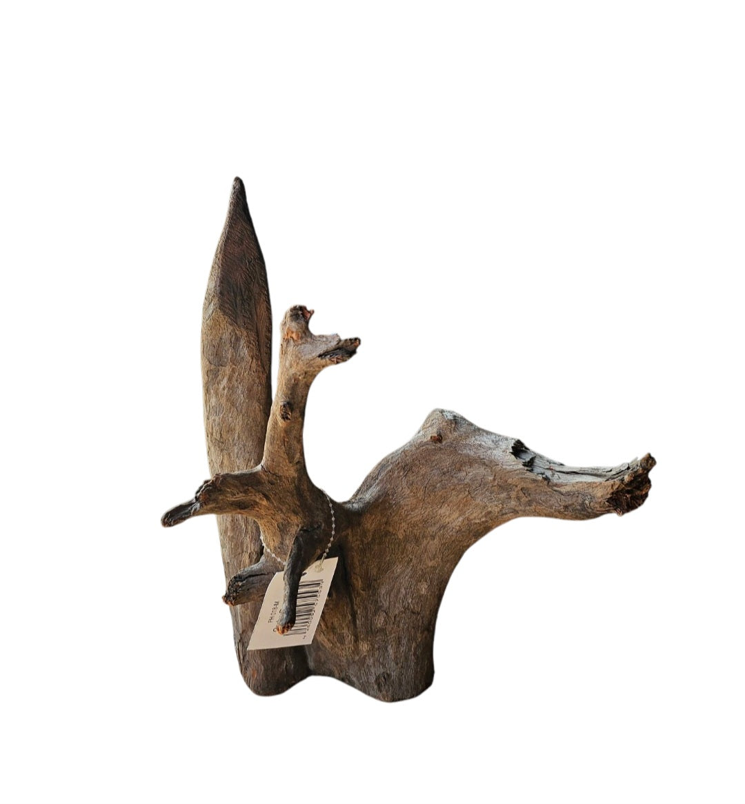 Corbo Wurzel medium  Nr.916