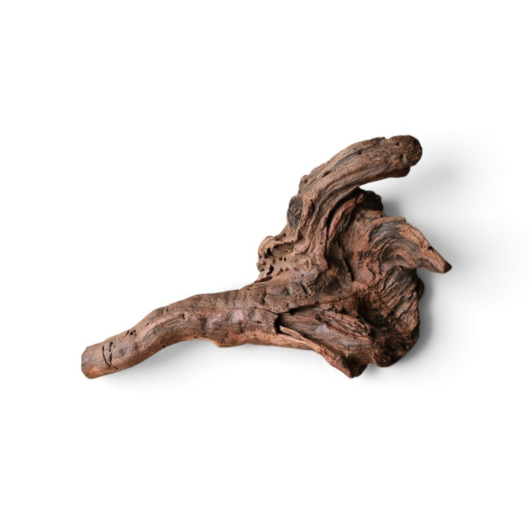 Driftwood / Flusswurzel   Nr. 125