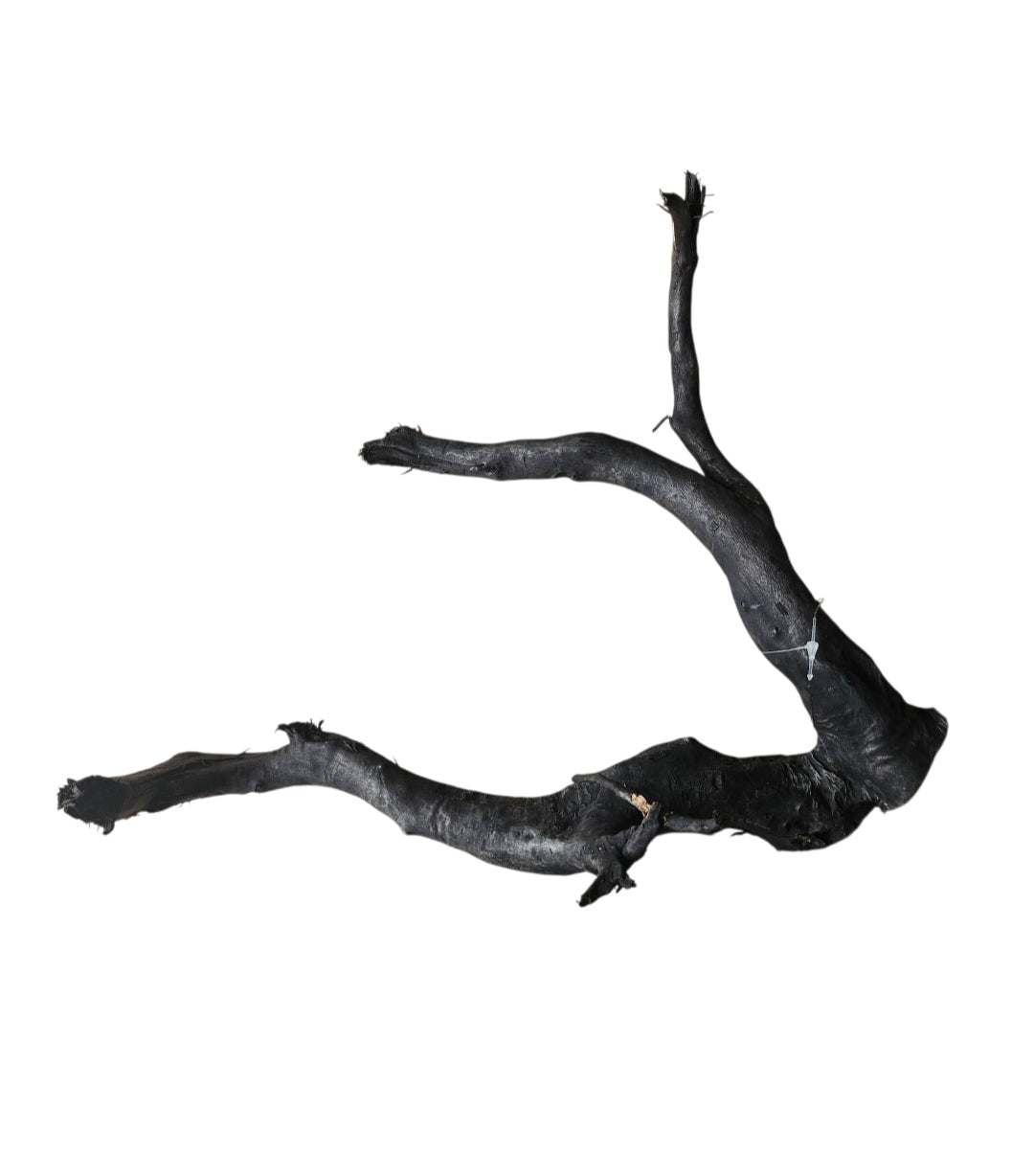 Schwarze Moorwurzel M (25-30 cm)   Nr. 108