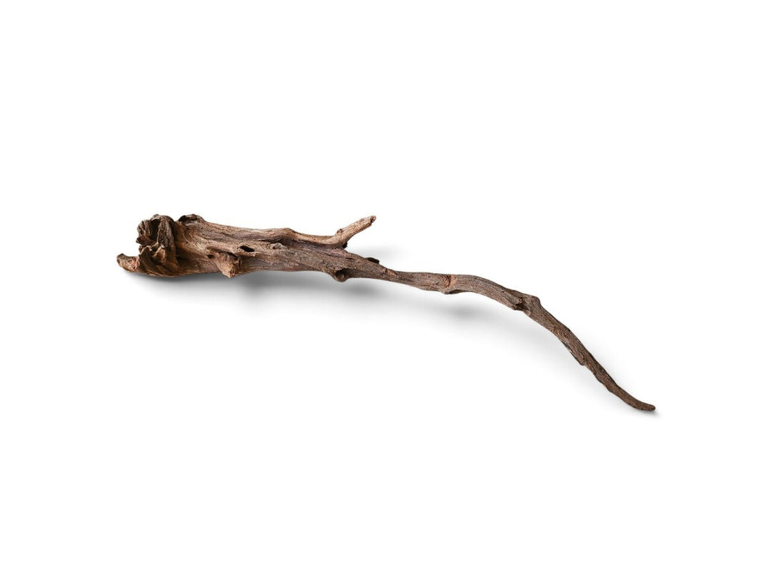 Coral Sinker Wood   Nr.652