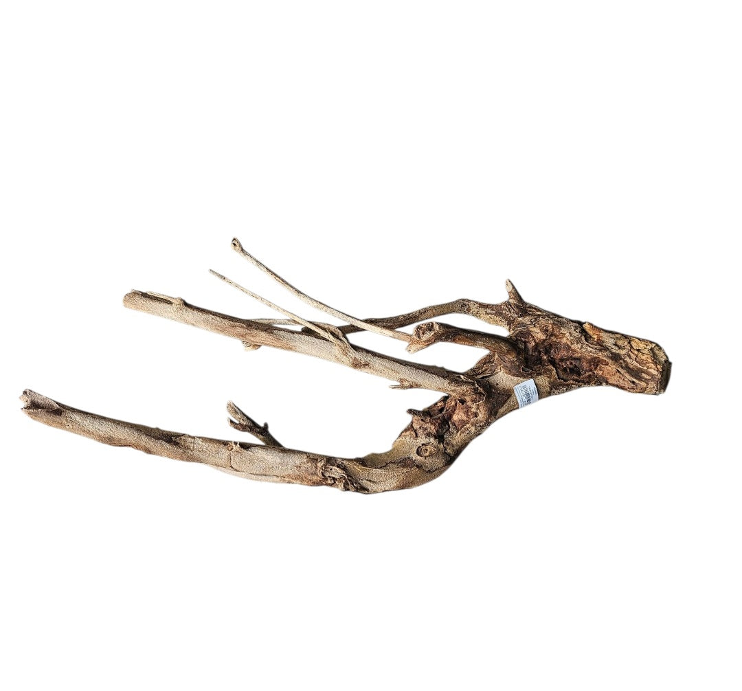 Talawa Holz / Wood 50-70 cm   Nr. 158
